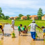 Coolliving Farmhouse (คูลลิฟวิ่ง ฟาร์มเฮ้า) ห้อง Panorama Pond Villa 2 ท่าน พร้อมกิจกรรมในฟาร์ม, วังน้ำเขียว นครราชสีมา