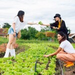 Coolliving Farmhouse (คูลลิฟวิ่ง ฟาร์มเฮ้า) ห้อง Farmhouse outdoor Bath 2 ท่าน, นครราชสีมา