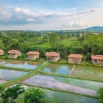 Coolliving Farmhouse (คูลลิฟวิ่ง ฟาร์มเฮ้า) ห้อง Panorama Pond Villa 2 ท่าน พร้อมกิจกรรมในฟาร์ม, วังน้ำเขียว นครราชสีมา