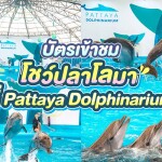 Pattaya Dolphinarium