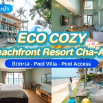 Eco Cozy Beachfront Resort Chaam (อีโค โคซี่ บีชฟรอนท์ รีสอร์ท ชะอำ) ห้อง Superior 2 ท่าน , หัวหิน