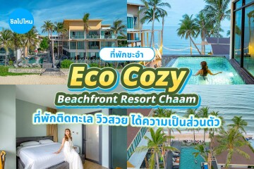 Eco Cozy Beachfront Resort Chaam (อีโค โคซี่ บีชฟรอนท์ รีสอร์ต ชะอำ) ห้อง Superior Room 2 ท่าน ,ชะอำ