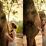 ทัวร์ชมช้าง 1 ชม. Elephant Jungle Sanctuary (เอเลเฟ่น จังเกิ้ล แซงชัวรี) ,พัทยา