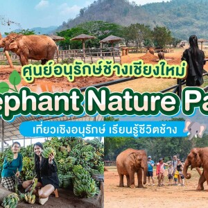 บัตรทัวร์เยี่ยมชมช้าง ครึ่งวัน Elephant Nature Park (เอเลเฟ่น เนเจอร์ พาร์ค) ,เชียงใหม่