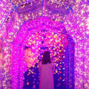 Fantastic Phuket Museum , Phuket