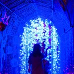 Fantastic Phuket Museum , Phuket