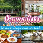 Gingerbread House Nakonnayok (บ้านขนมปังขิง) ห้อง Cat lover villa 2 ท่าน, นครนายก