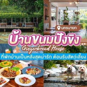 Gingerbread House Nakonnayok (บ้านขนมปังขิง) ห้อง Cat lover villa 2 ท่าน, นครนายก