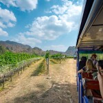 ทัวร์ไร่องุ่นและโรงกลั่นไวน์ GranMonte Vineyard and Winery  ไวน์ซุปเปอร์พรีเมี่ยม,เขาใหญ่