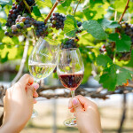 ทัวร์ไร่องุ่นและโรงกลั่นไวน์ GranMonte Vineyard and Winery  ไวน์ซุปเปอร์พรีเมี่ยม,เขาใหญ่