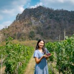 ทัวร์ไร่องุ่นและโรงกลั่นไวน์ GranMonte Vineyard and Winery  ไวน์ซุปเปอร์พรีเมี่ยม,เขาใหญ่