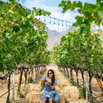 ทัวร์ไร่องุ่นและโรงกลั่นไวน์ GranMonte Vineyard and Winery  ไวน์ซุปเปอร์พรีเมี่ยม,เขาใหญ่