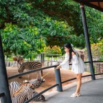 บัตรเข้าชมสวนสัตว์ Hua Hin Safari & Adventure Park (หัวหินซาฟารี) พร้อมกิจกรรม สำหรับ 1 ท่าน