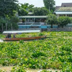 ล่องเรือรอบเกาะเมืองอยุธยา ชมเมือง ไหว้พระ ชมช้างอาบน้ำ สำหรับ 10-12 ท่าน, อยุธยา