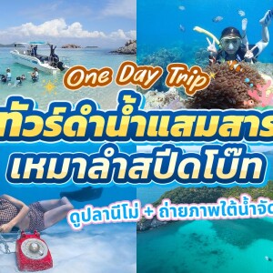 One Day Trip : ดำน้ำอ่าวแสมสาร เรือสปีทโบ๊ท(เหมาลำ)