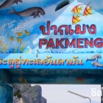 แพ็กเกจตรัง 2 วัน 1 คืน : พักเกาะไหง + ดำน้ำ 4 เกาะทะเลตรัง + อาหาร 3 มื้อ สำหรับ 2 ท่าน