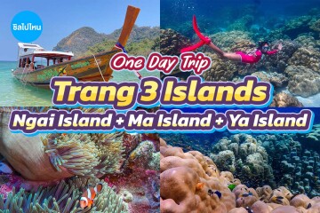 One Day Trip to 3 Islands in Trang: Ngai Island + Ma Island + Ya Island (Join Group) – For 1 Person, Trang