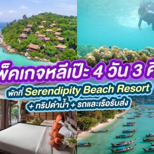 แพ็คเกจหลีเป๊ะ 4 วัน 3 คืน พักที่ Serendipity Beach Resort + ทริปดำน้ำ + รถและเรือรับส่ง + อาหาร 5 มื้อ , 2 ท่าน