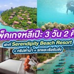 แพ็คเกจหลีเป๊ะ 3 วัน 2 คืน พักที่ Serendipity Beach Resort + ทริปดำน้ำ + รถและเรือรับส่ง + อาหาร 3 มื้อ , 2 ท่าน