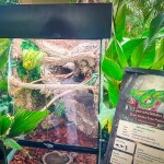 บัตรเข้าชม จูราสสิค เวิลด์ ดิ เอ็กซ์พีเรียนซ์ (Jurassic World The Experience) เอเชียทีค กรุงเทพ