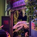 บัตรเข้าชม จูราสสิค เวิลด์ ดิ เอ็กซ์พีเรียนซ์ (Jurassic World The Experience) เอเชียทีค กรุงเทพ