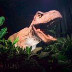 บัตรเข้าชม จูราสสิค เวิลด์ ดิ เอ็กซ์พีเรียนซ์ (Jurassic World The Experience) เอเชียทีค กรุงเทพ