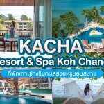 Kacha Resort & Spa Koh Chang (คชารีสอร์ทเเอนด์สปาเกาะช้าง) ห้อง Hill side deluxe Building 2 ท่าน เกาะช้าง