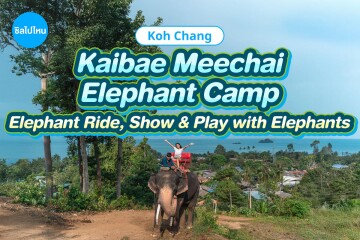 [Koh Chang]  Kaibae Meechai Elephant Camp : Activities Ticket with Elephant Ride + Elephant Show + Swimming with baby elephant