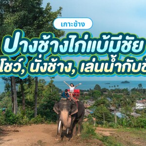 [Koh Chang]  Kaibae Meechai Elephant Camp : Activities Ticket with Elephant Ride + Elephant Show + Swimming with baby elephant