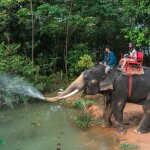 [Koh Chang]  Kaibae Meechai Elephant Camp : Activities Ticket with Elephant Ride + Elephant Show + Elephant Swim