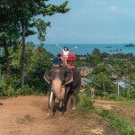 [Koh Chang]  Kaibae Meechai Elephant Camp : Activities Ticket with Elephant Ride + Elephant Show + Elephant Swim