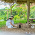 KATILIYA MOUNTAIN RESORT & SPA CHIANG RAI (คาทิลิยา เมาท์เทน รีสอร์ท แอนด์ สปา) ห้อง mountain suite
