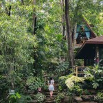 Kenaray farmstay (เคนาเรย์ ฟาร์มสเตย์) ห้อง Bird Room 2 ท่าน , แก่งกระจาน