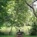 Kenaray farmstay (เคนาเรย์ ฟาร์มสเตย์) ห้อง Bird Room 2 ท่าน , แก่งกระจาน