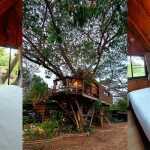 Kenaray farmstay (เคนาเรย์ ฟาร์มสเตย์) ห้อง Bird Room 2 ท่าน , แก่งกระจาน
