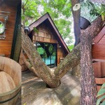 Kenaray farmstay (เคนาเรย์ ฟาร์มสเตย์) ห้อง Bird Room 2 ท่าน , แก่งกระจาน