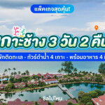 แพ็คเกจเกาะช้าง 3 วัน 2 คืน พักที่คลองพร้าว รีสอร์ท + ทัวร์ดำน้ำ 4 เกาะ + อาหาร 4 มื้อ สำหรับ 2 ท่าน เกาะช้าง