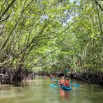 แพ็คเกจทัวร์พายเรือคายัดอ่าวท่าเลน สำหรับ 1 ท่าน ,กระบี่