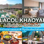 Lacol Khaoyai - A Chatrium Collection (ลาโค่ เขาใหญ่ - เอ ชาเทรียม คอลเลคชั่น) ห้อง Deluxe mountain View 2 ท่าน, เขาใหญ่