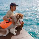 แพ็คเกจทริปล่องเรือไม้ Le fong ar-kad (เลอ ฟอง อากาศ) Private กรุ๊ป  (Pet Friendly) , สัตหีบ