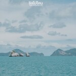 One Day Trip ทัวร์ดำน้ำตื้น อุทยานแห่งชาติหมู่เกาะอ่างทอง โดย สปีดโบ๊ท (เกาะสมุย) สำหรับ 1 ท่าน