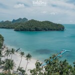 One Day Trip ดำน้ำตื้นและพายเรือคายัด อุทยานแห่งชาติหมู่เกาะอ่างทอง : เริ่มต้นที่เกาะสมุย เรือสปีดโบ๊ท