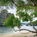 ทัวร์หมู่เกาะอ่างทอง · จอยสปีดโบ๊ท · จากเกาะพะงัน