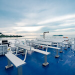 [From Bangkok] Bus + Speed Catamaran : One way ticket from Bangkok to Koh Samui, for 1 person
