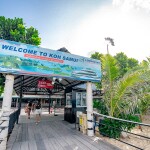 [From Bangkok] Bus + Speed Catamaran : One way ticket from Bangkok to Koh Samui, for 1 person