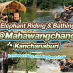 Elephant riding and bathing experience, bamboo rafting, and elephant show at Mahawangchang Elephant Camp , Kanchanaburi.