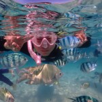 One day trip ดำน้ำดูปะการัง : อ่าวบางเสร่ เกราะครามน้อย เกราะครามใหญ่