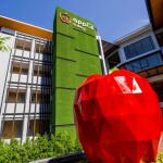 แพ็คเกจกระบี่ 3 วัน 2 คืน พักที่ APPLE A DAY RESORT  + เดย์ทริปเกาะพีพี เกาะไผ่ อ่าวมาหยา + รถเช่า 48 ชม.