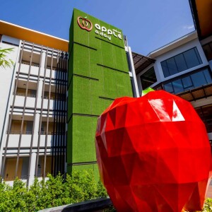แพ็คเกจกระบี่ 3 วัน 2 คืน พักที่ APPLE A DAY RESORT  + เดย์ทริปเกาะพีพี เกาะไผ่ อ่าวมาหยา + รถเช่า 48 ชม.