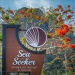แพ็คเกจกระบี่ 3 วัน 2 คืน พักที่ SEA SEEKER KRABI RESORT + เดย์ทริปเกาะพีพี เกาะไข่ + รถเช่า 48 ชม.